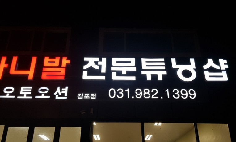 오토오션